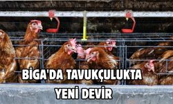 Biga'da Tavukçulukta Yeni Devir