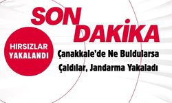 Çanakkale’de Ne Buldularsa Çaldılar, Jandarma Yakaladı
