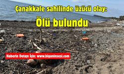 Çanakkale sahilinde üzücü olay: Ölü bulundu