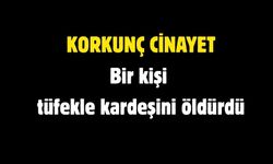 Bir kişi tüfekle kardeşini öldürdü