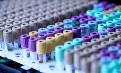 Evcil kedilerden insanlara uzanan şifa umudu