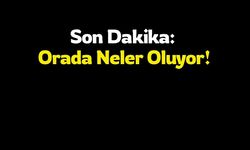 Orada Neler Oluyor!