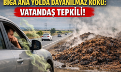 Biga Ana Yolda Dayanılmaz Koku: Vatandaş Tepkili