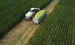 Tarım ÜFE ocakta aylık bazda yüzde 8,46 arttı