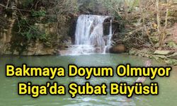 Bakmaya doyum olmuyor: Biga’da şubat büyüsü