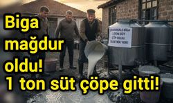 Çanakkale Biga mağdur oldu, 1 ton süt çöpe gitti