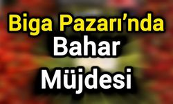 Biga Pazarı’nda Bahar Müjdesi