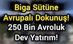 Biga sütüne Avrupalı dokunuş: 250 bin avroluk dev yatırım!