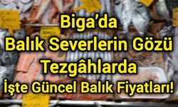 Biga’da Balık Severlerin Gözü Tezgâhlarda: İşte Güncel Balık Fiyatları!