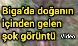 Biga’da doğanın içinden gelen şok görüntü