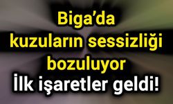 Biga’da kuzuların sessizliği bozuluyor: İlk işaretler geldi!