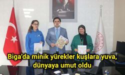 Biga’da minik yürekler kuşlara yuva, dünyaya umut oldu