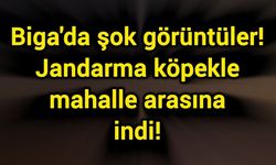 Biga'da şok görüntüler! Jandarma köpekle mahalle arasına indi!