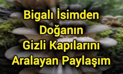 Bigalı İsimden Doğanın Gizli Kapılarını Aralayan Paylaşım