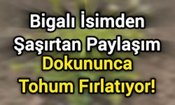 Bigalı İsimden Şaşırtan Paylaşım: Dokununca Tohum Fırlatıyor!