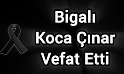 Bigalı Koca Çınar Vefat Etti