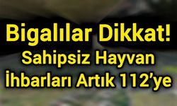 Bigalılar dikkat! Sahipsiz hayvan ihbarları artık 112’ye