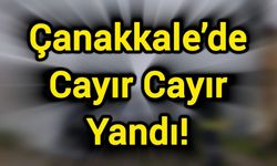 Çanakkale’de Cayır Cayır Yandı!