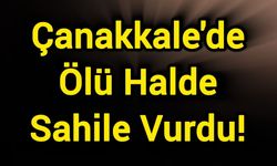 Çanakkale'de Ölü Halde Sahile Vurdu!