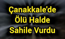 Çanakkale'de Ölü Halde Sahile Vurdu