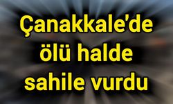 Çanakkale'de ölü halde sahile vurdu