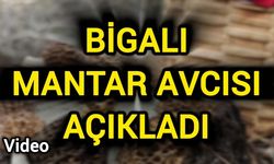 Kuzugöbeği neden yanık ormanlarda çıkar?