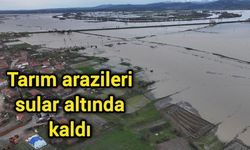 Tarım arazileri sular altında kaldı