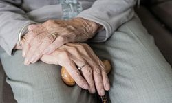 Türkiye'de 100 yaşına merdiven dayayan 244 bine yakın "çınar" yaşıyor