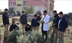 Üniversite öğrencilerinin uygulamalı eğitimi en az 1 dönem olacak