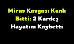 Miras Kavgası Kanlı Bitti: 2 Kardeş Hayatını Kaybetti
