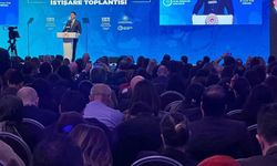 Küresel İklim Rotasında ÇOMÜ İmzası