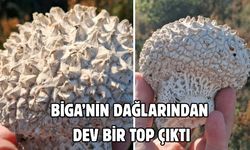 Biga’nın dağlarından dev bir top çıktı