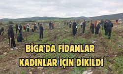 Biga’da fidanlar kadınlar için dikildi