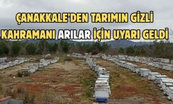 Çanakkale’den tarımın gizli kahramanı arılar için uyarı geldi
