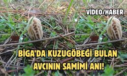 Biga’da kuzugöbeği bulan avcının samimi anı!