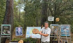 21 Mart Orman Haftası: Doğanın Nefesine Sahip Çıkma Zamanı