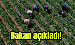 Çiftçilere 12,3 milyar liralık tarımsal destekleme ödemesi o tarihte yatacak