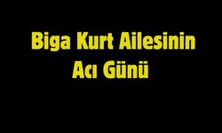 Biga'da Kurt Ailesinin Acı Günü