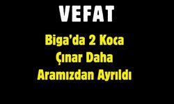 Biga’da 2 Koca Çınar Daha Aramızdan Ayrıldı