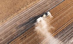 Çanakkale’de Yüzde 40 Artış!