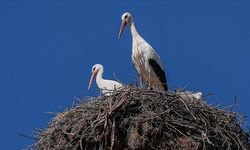 Büyük kavuşma gerçekleşti