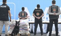 Narkotik köpeği Bodri’den "Rekor" takip: Tonlarca zehir yakalandı
