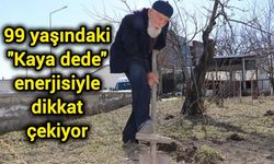 99 yaşındaki "Kaya dede" enerjisiyle dikkat çekiyor