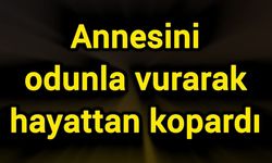 Annesini odunla vurarak hayattan kopardı