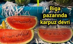 Biga pazarında karpuz devri