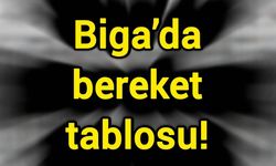 Biga’da bereket tablosu!