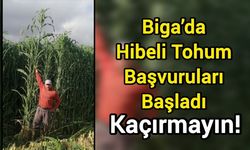 Biga’da Hibeli Tohum Başvuruları Başladı: Kaçırmayın!