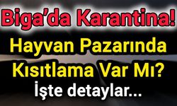 Biga’da Karantina! Hayvan Pazarında Kısıtlama Var Mı?