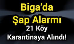 Biga’da Şap Alarmı: 21 Köy Karantinaya Alındı!