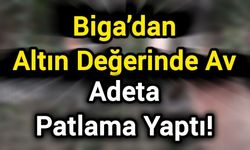 Biga’dan altın değerinde av: Adeta patlama yaptı!